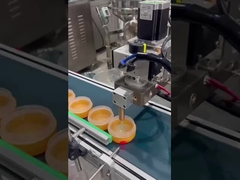 Otomatik makyaj tabanı doldurma makinesi SUS304 Delek pompası ısıtılabilir