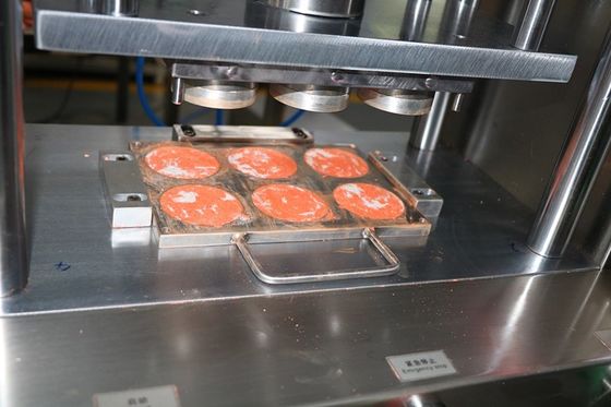 6 delikli Cnc Alüminyum Kalıplar 1 yıl garanti